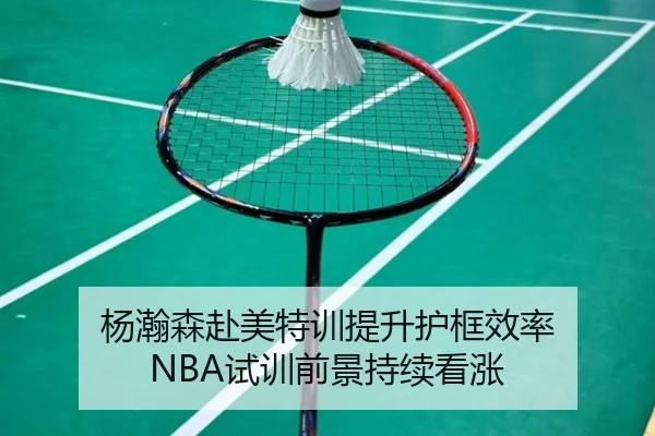 杨瀚森赴美特训提升护框效率 NBA试训前景持续看涨 - WANBOSPORTS